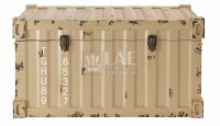 LAE-IFC-37